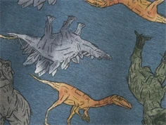 Name It china blue dino sweatshirt